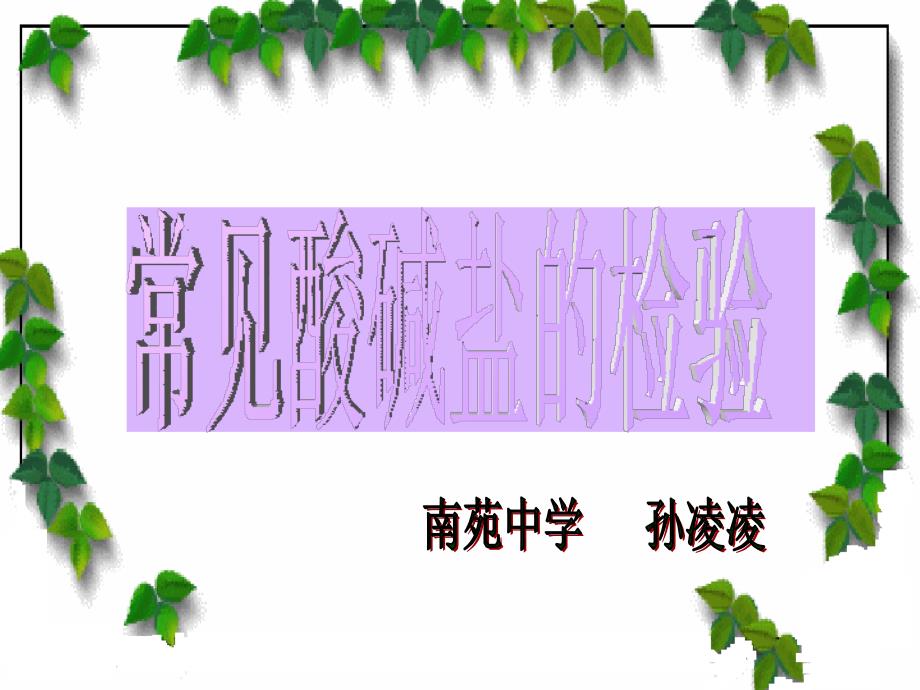 常见酸碱盐的检验_第1页