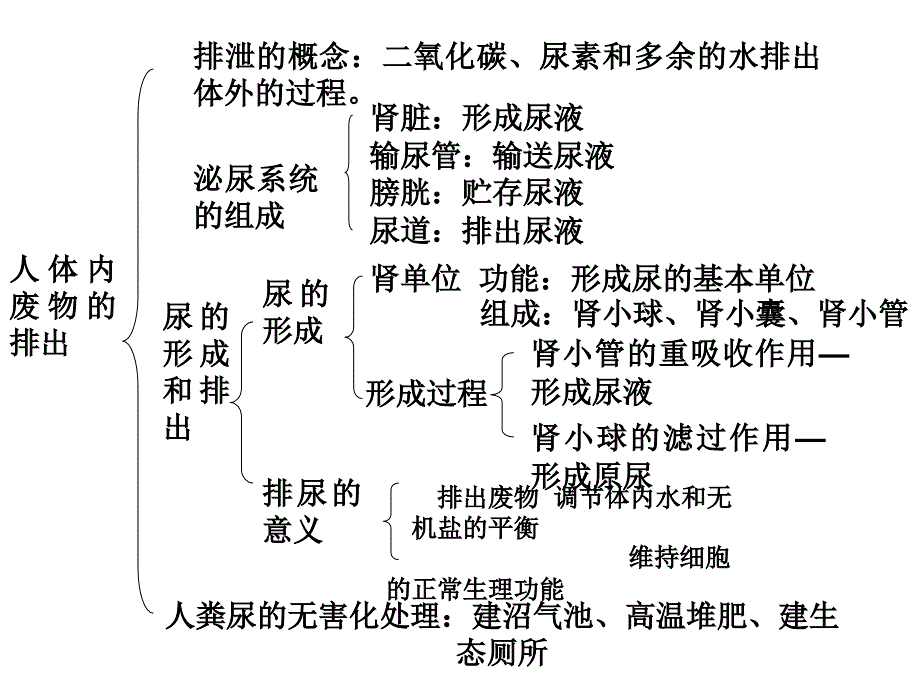 人体内废物的排出复习_第1页