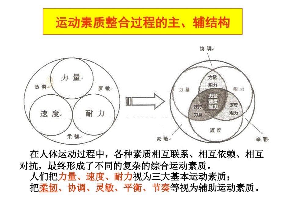 四项素质训练若干问题一席谈_第5页