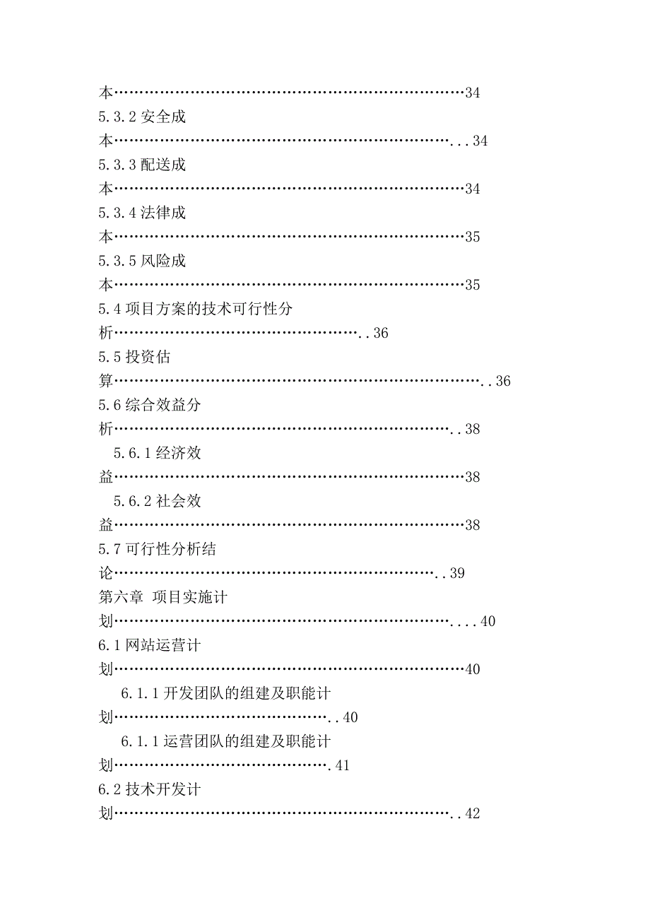 电子商务项目规划书_第4页