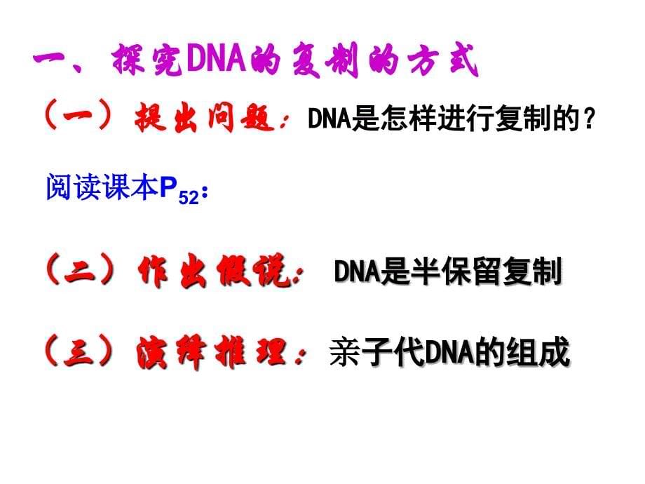 人教版教学课件DNA的复制_第5页