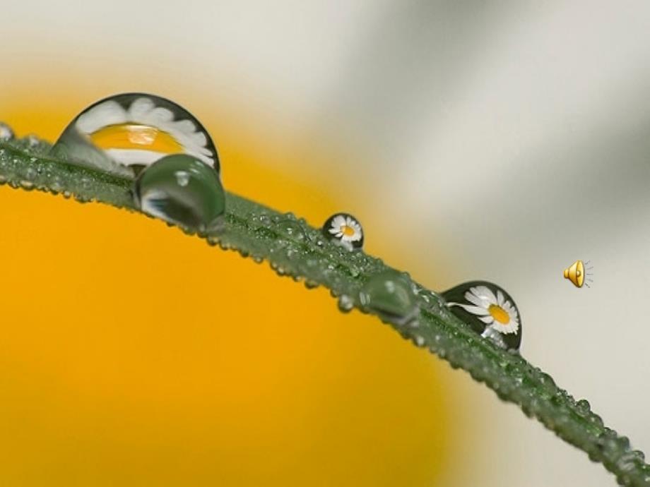 人教版小学语文二年级《雷雨》  新疆专用_第1页