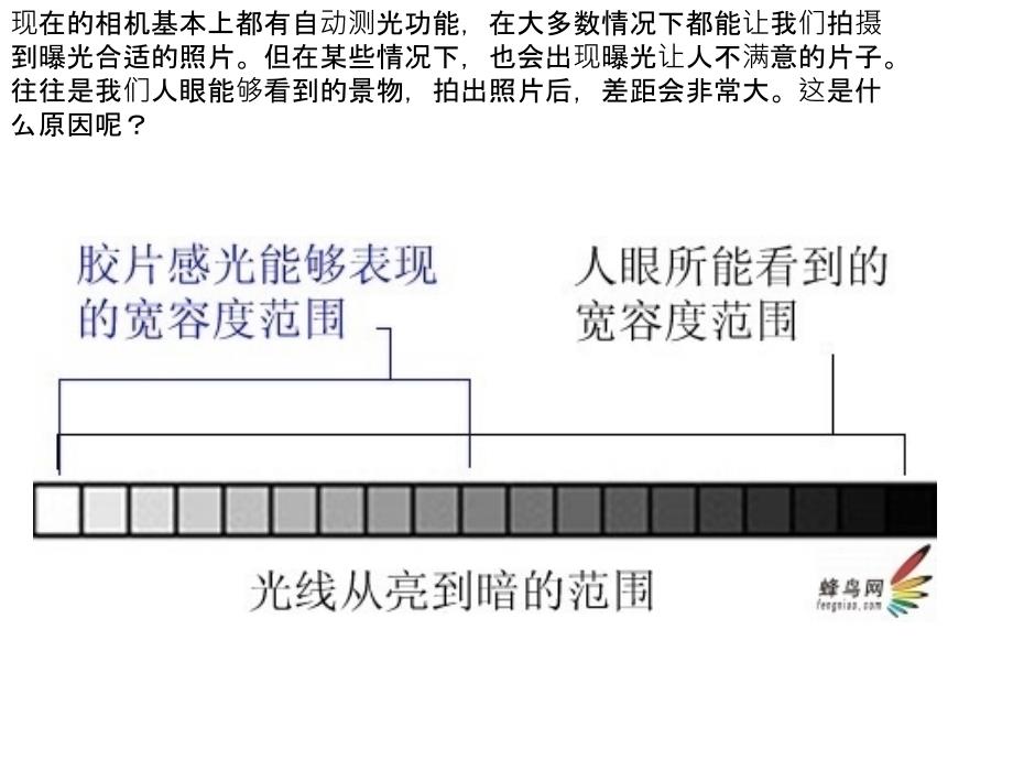 单反测光和曝光补偿技巧推荐(摄影必备单反入门)_第2页