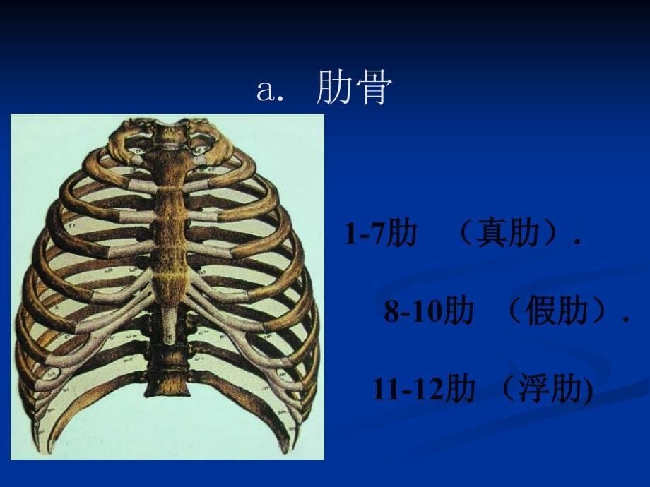 胸部外伤的急救课件_第5页