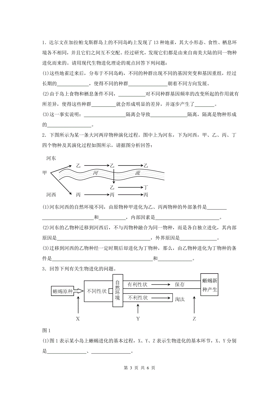 生物必修2第7章__现代生物进化理论精练测试题及答案_第3页