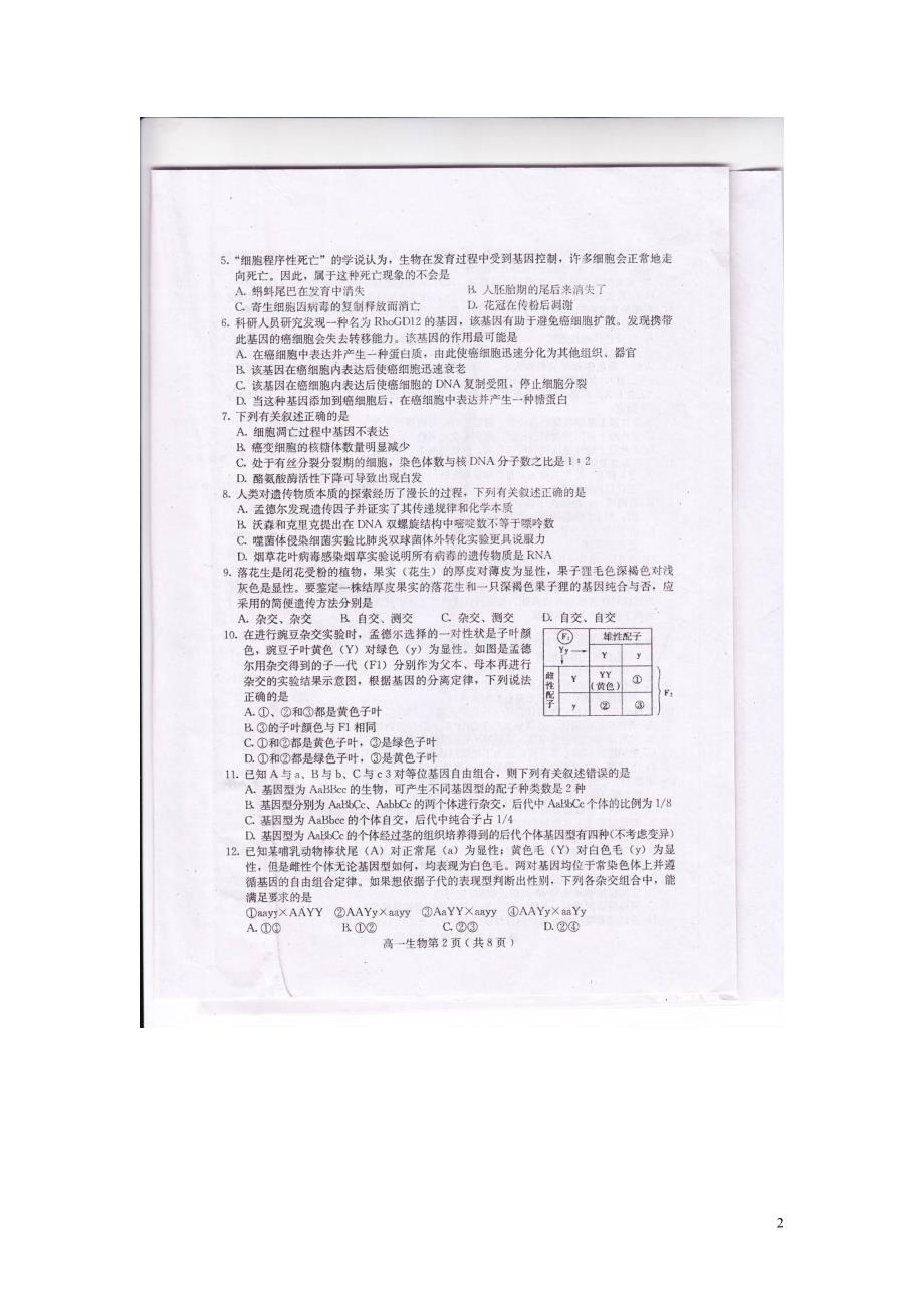 四川省乐山市2012-2013学年高一生物下学期教学质量检测试题_第2页