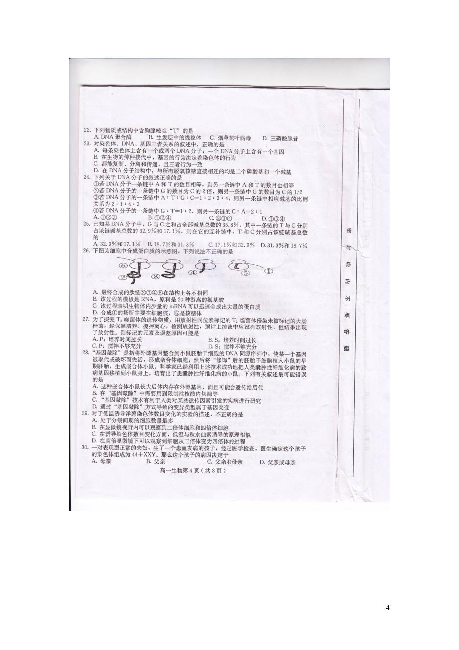 四川省乐山市2012-2013学年高一生物下学期教学质量检测试题_第4页