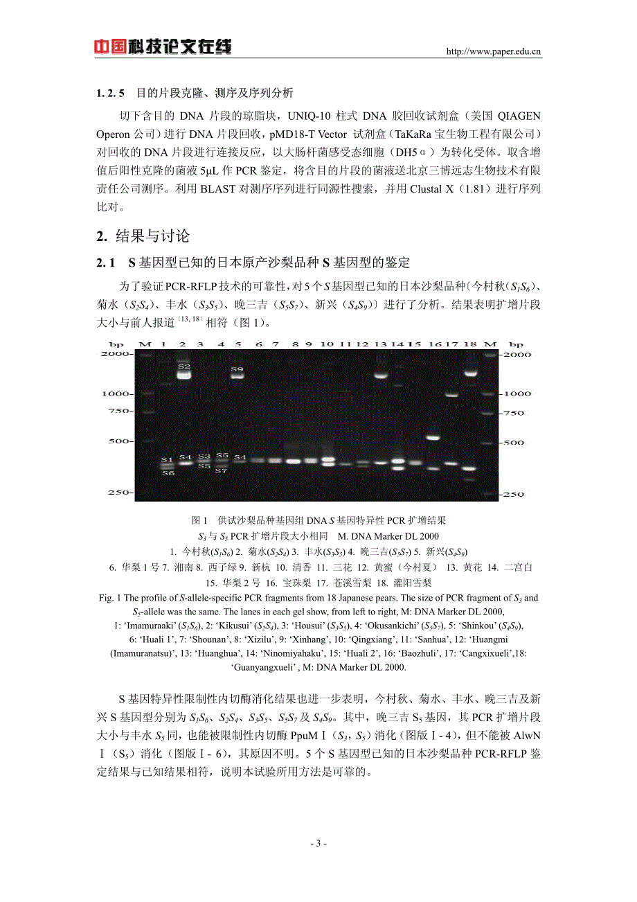 利用pcr-rflp技术鉴定部分沙梨(pyrus pyrifolia nakai)品种自交不亲和基因型(s基因型)_第3页