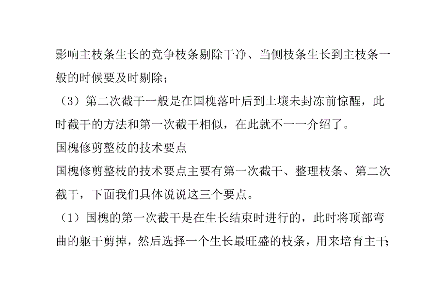 国槐修剪整枝的技术要点_第3页