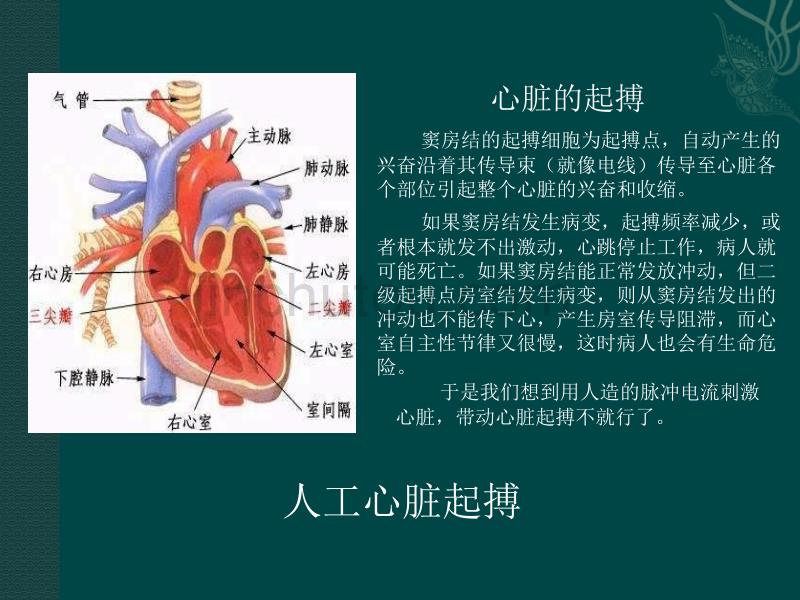 心脏起搏器的探究_第2页