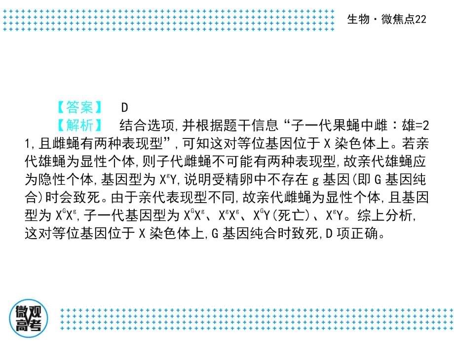 2017届高三生物二轮复习课件微焦点22伴性遗传的类型、特点及应用 (共42张)_第5页