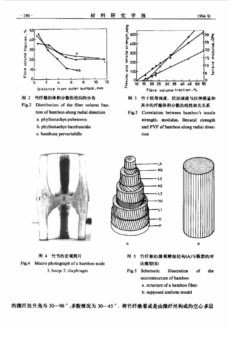 竹子──一种天然生物复合材料的研究_第3页