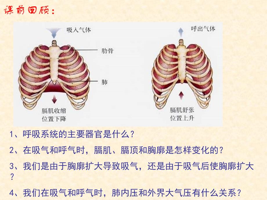 发生在肺内的气体交换2_第2页