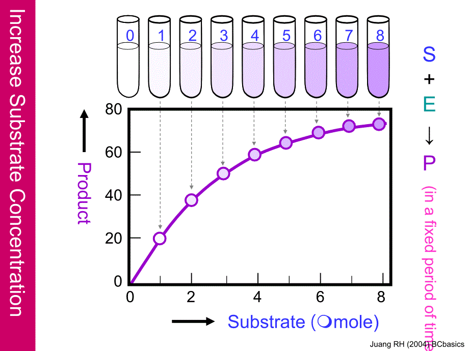 酶促反应动力学_第4页