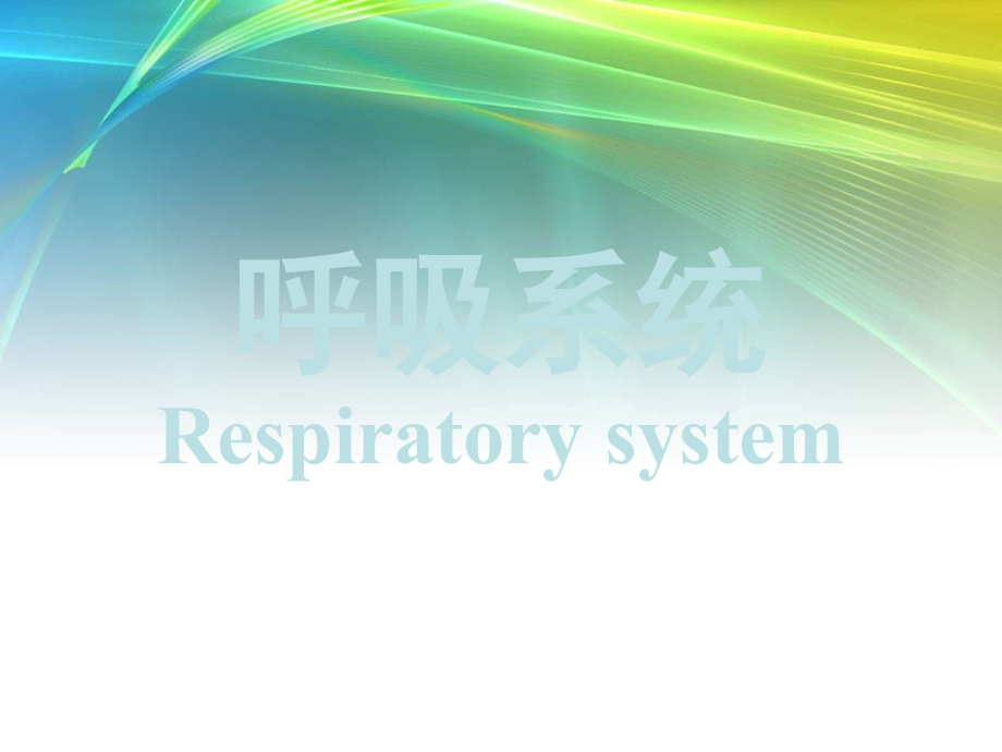 呼吸系统生理及常见病_第1页