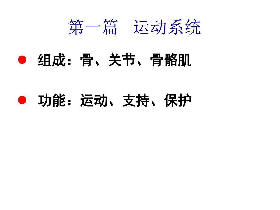 解剖学运动系统_第3页