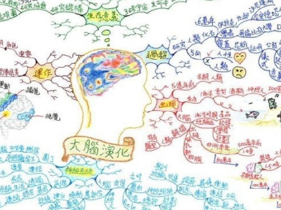 思维导图uc课程课件_第5页