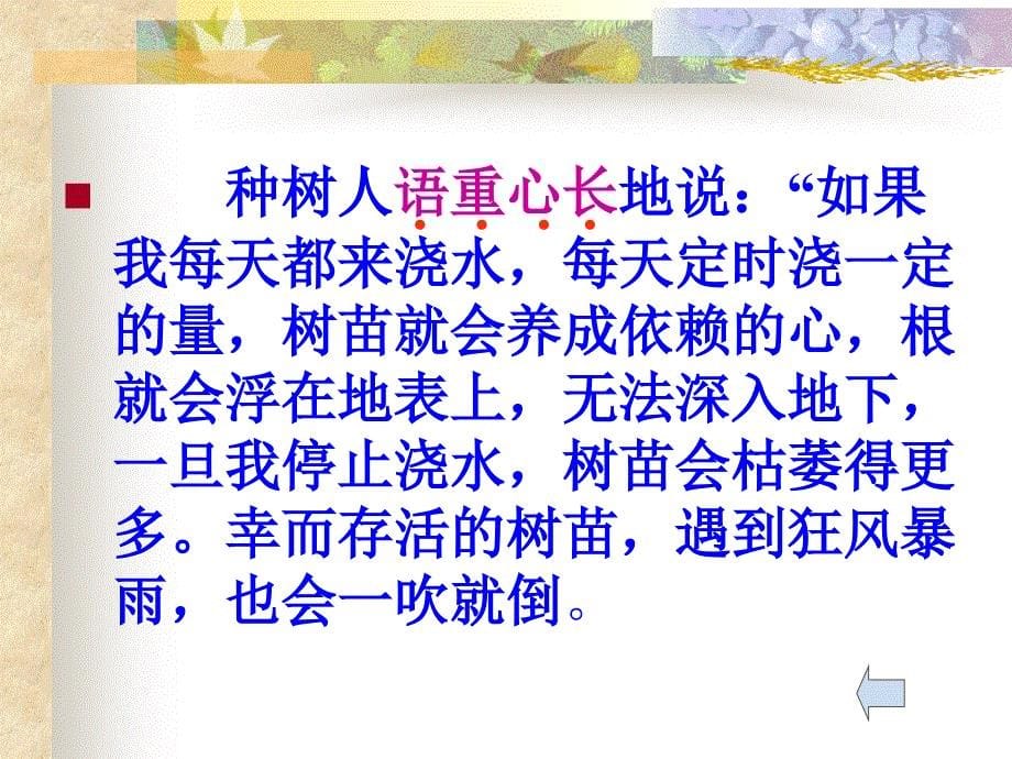 《桃花心木》课件_第5页