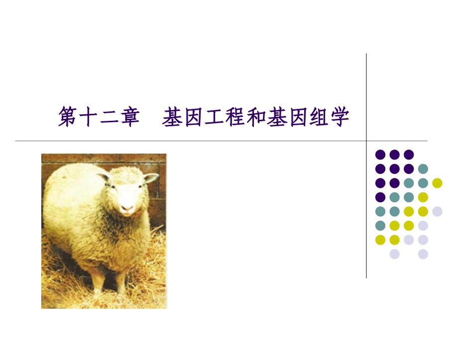 基因工程和基因组学_第1页