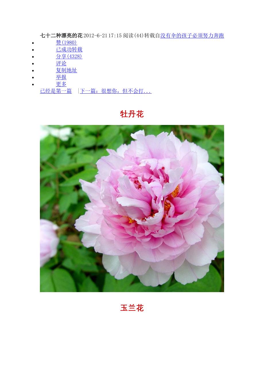 七十二种漂亮的花 2012_第1页