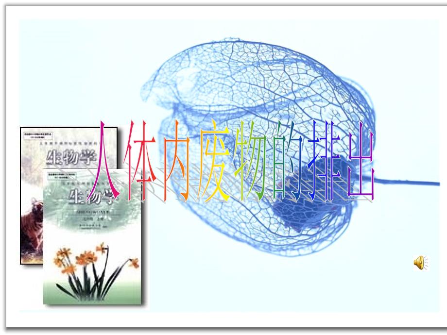 人教版第四单元第五章《人体内废物的排出》复习课件_第1页