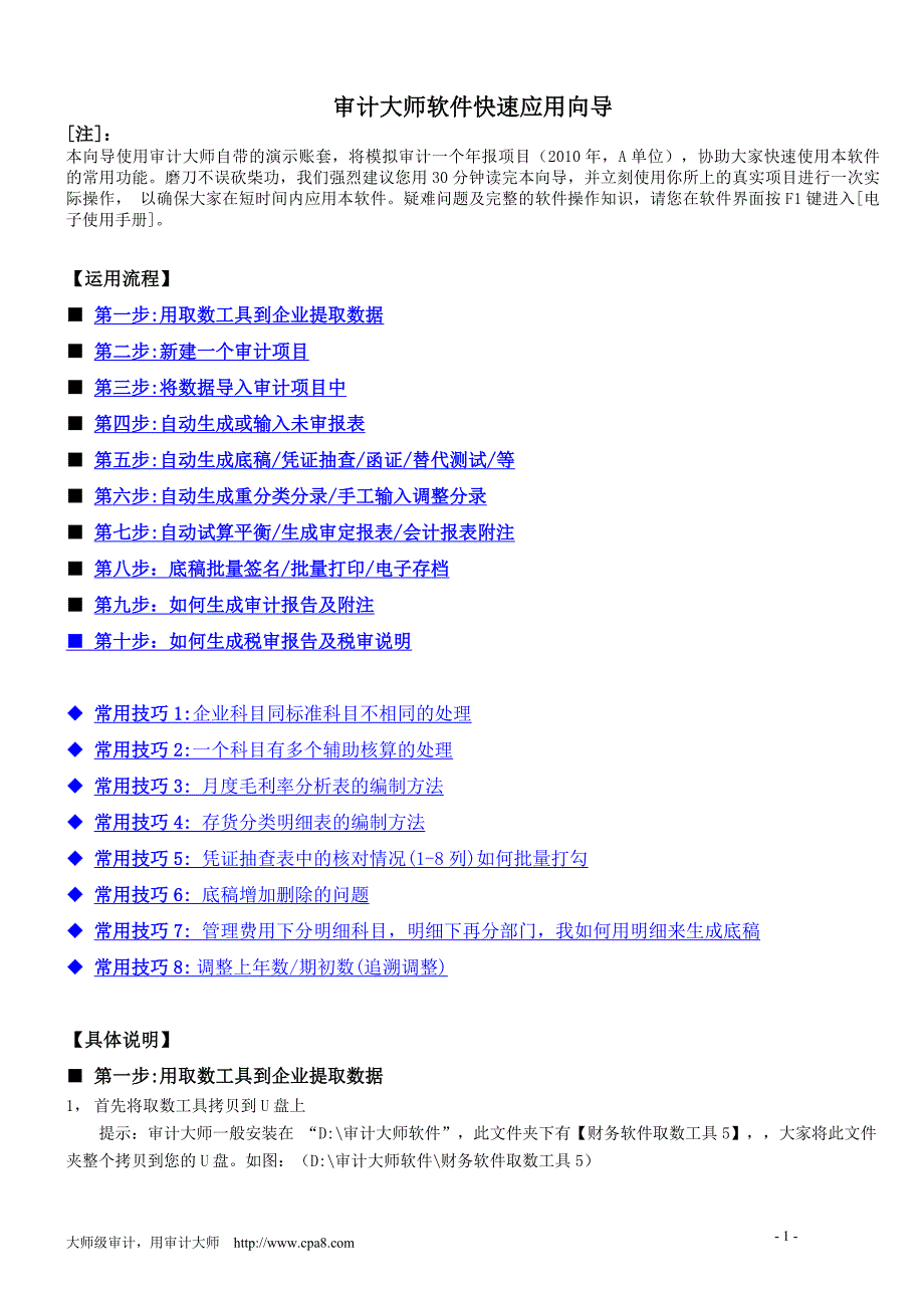 审计大师快速应用向导499582_第1页