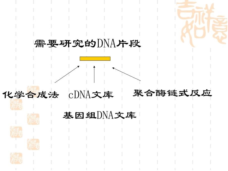 2基因研究技术之制备与检测_第5页