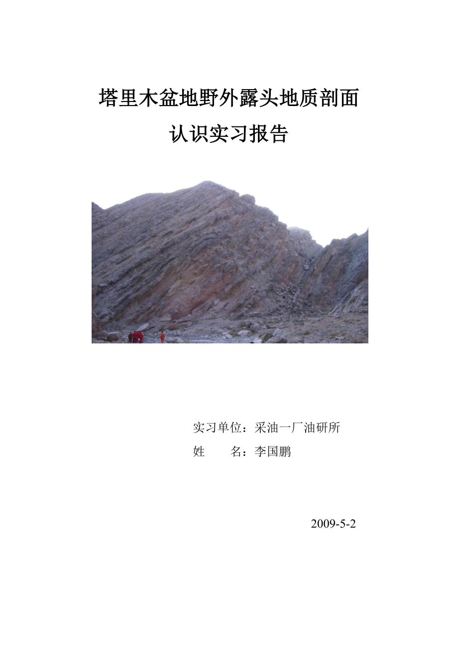 塔里木盆地野外露头地质剖面_第1页