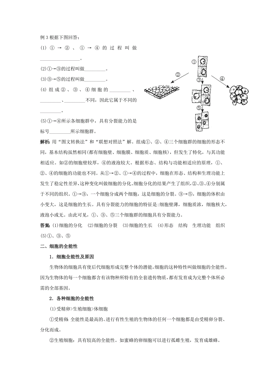 2012高三生物总复习教案  第14讲 细胞的分化_第4页