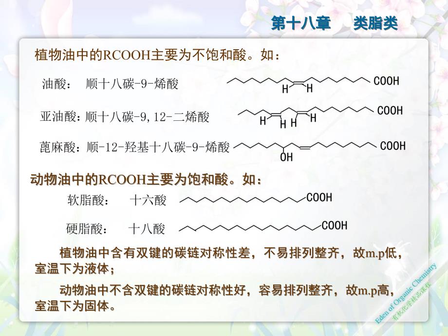 高四18章_类脂类_第3页