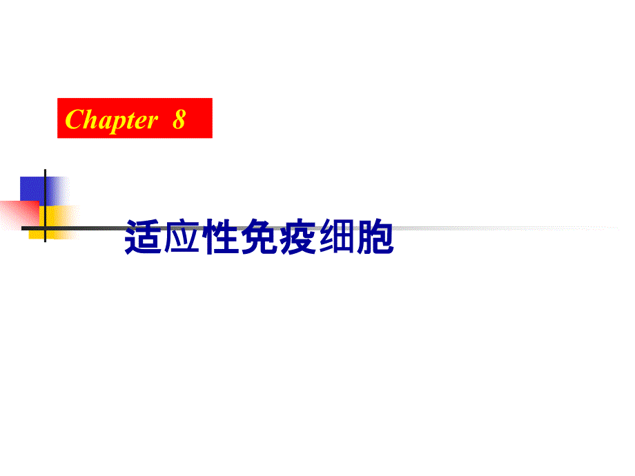 适应性免疫细胞_第1页