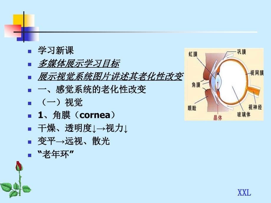 绪论老护理学_第5页