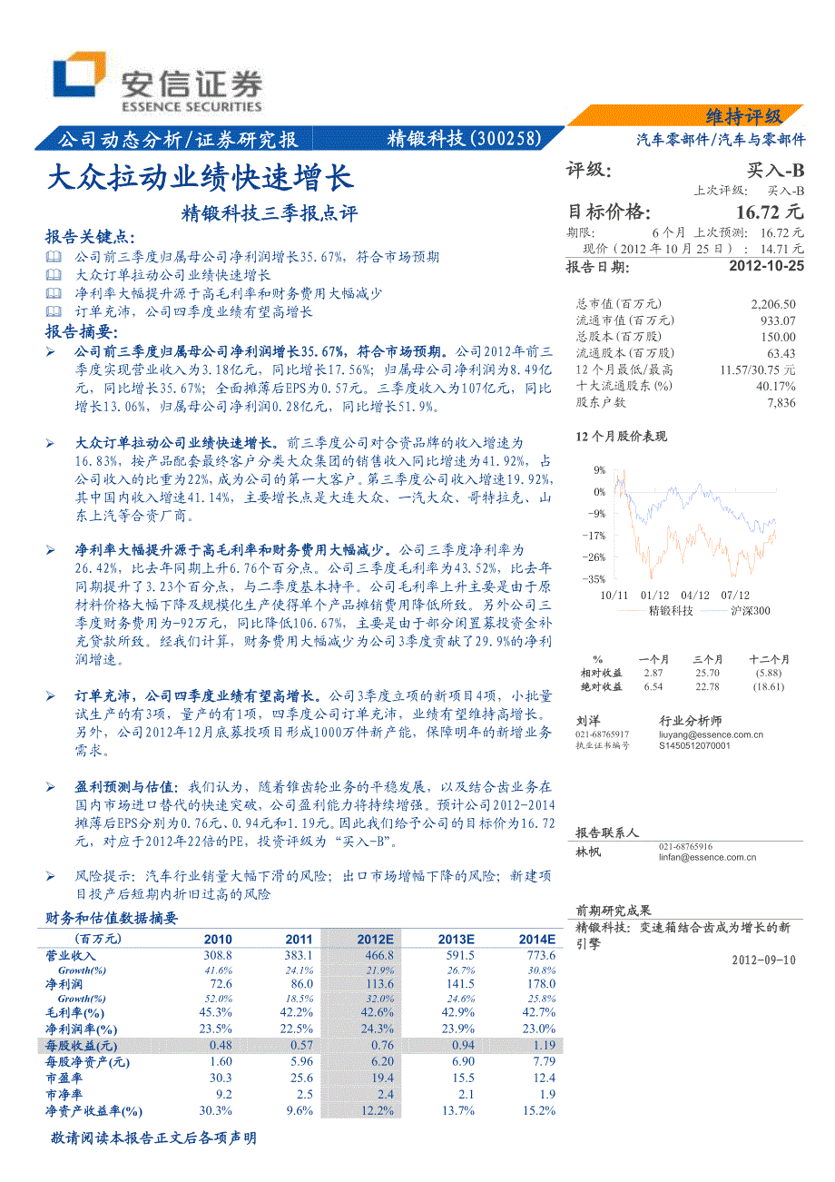 大众拉动业绩快速增长_第1页