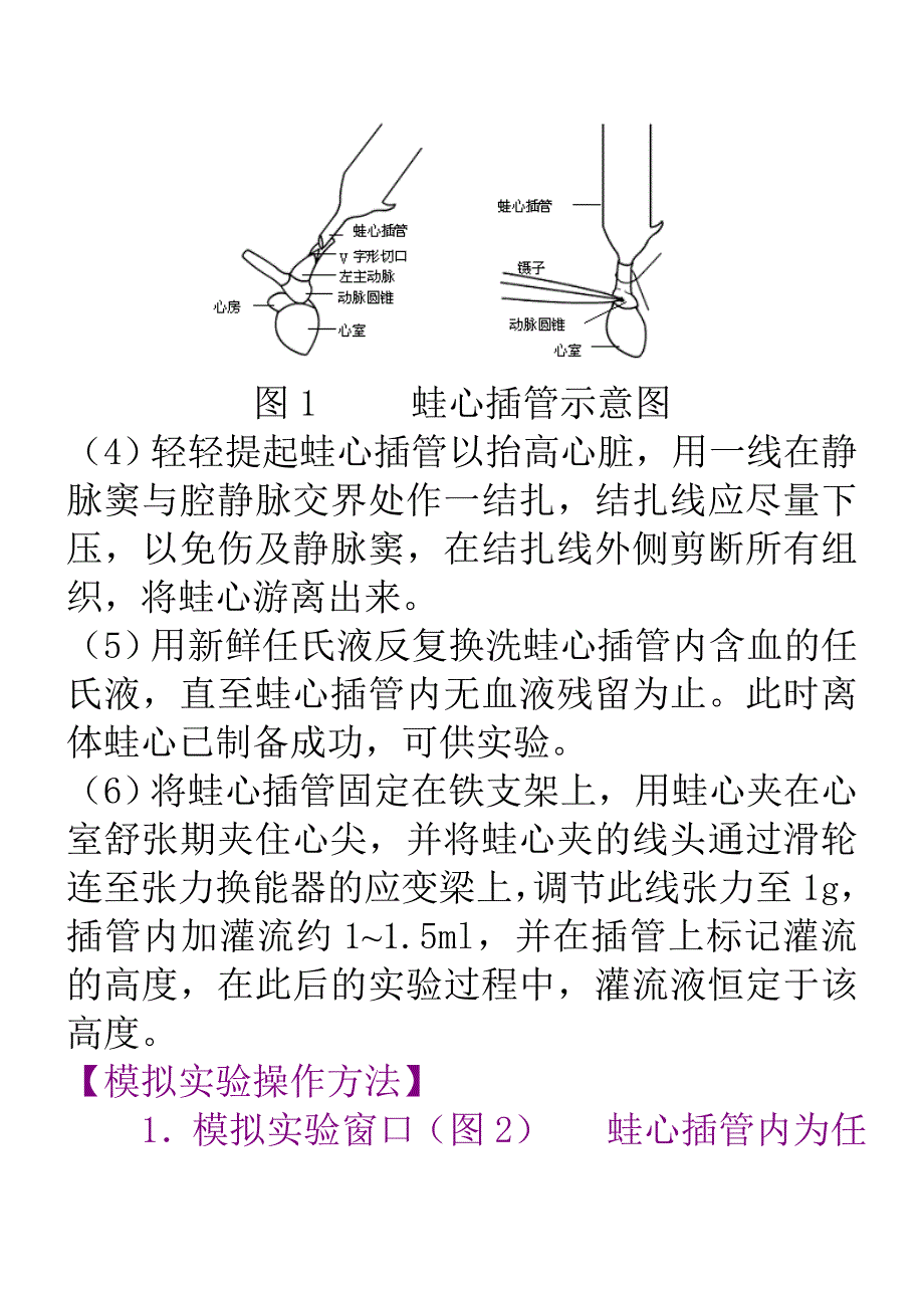 蛙心灌流模拟实验_第4页