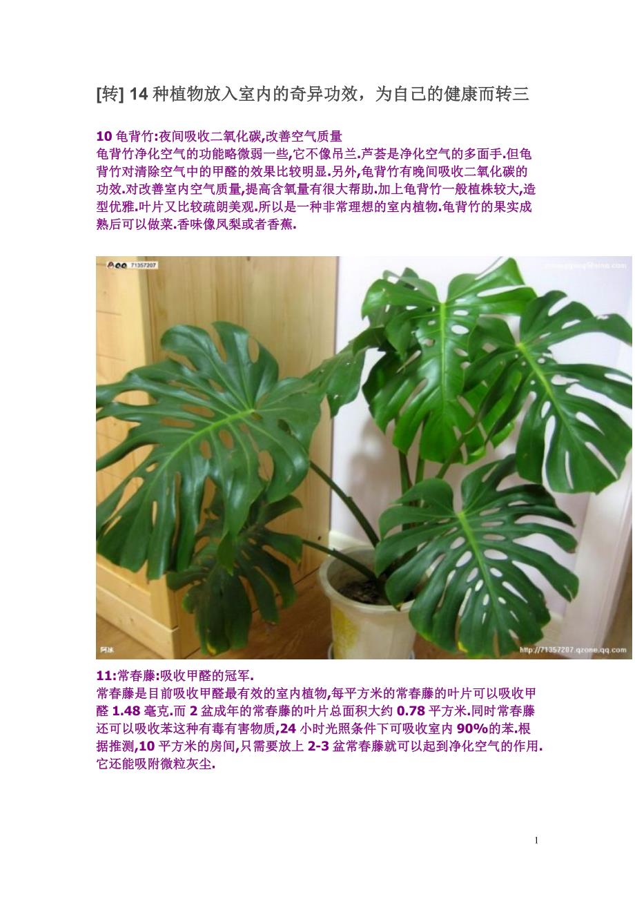 [转] 14种植物放入室内的奇异功效,为自己的健康而转三_第1页