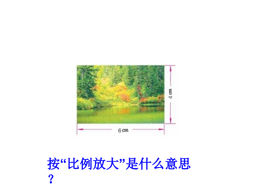 级数学解比例_第4页