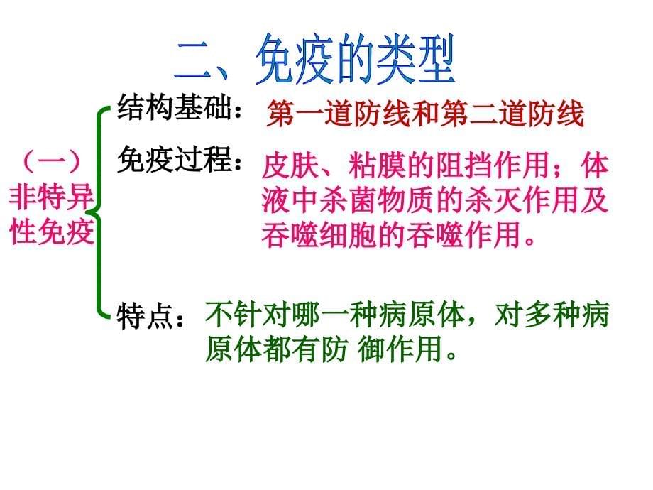 2010生物高考复习《分子与细胞》专题系列课件19《光合作用和生物固氮及免疫》_第5页