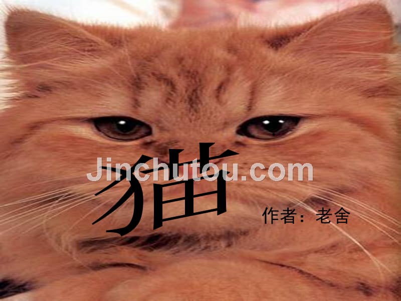 人教版四级语文上册《猫》PPT课件_第1页