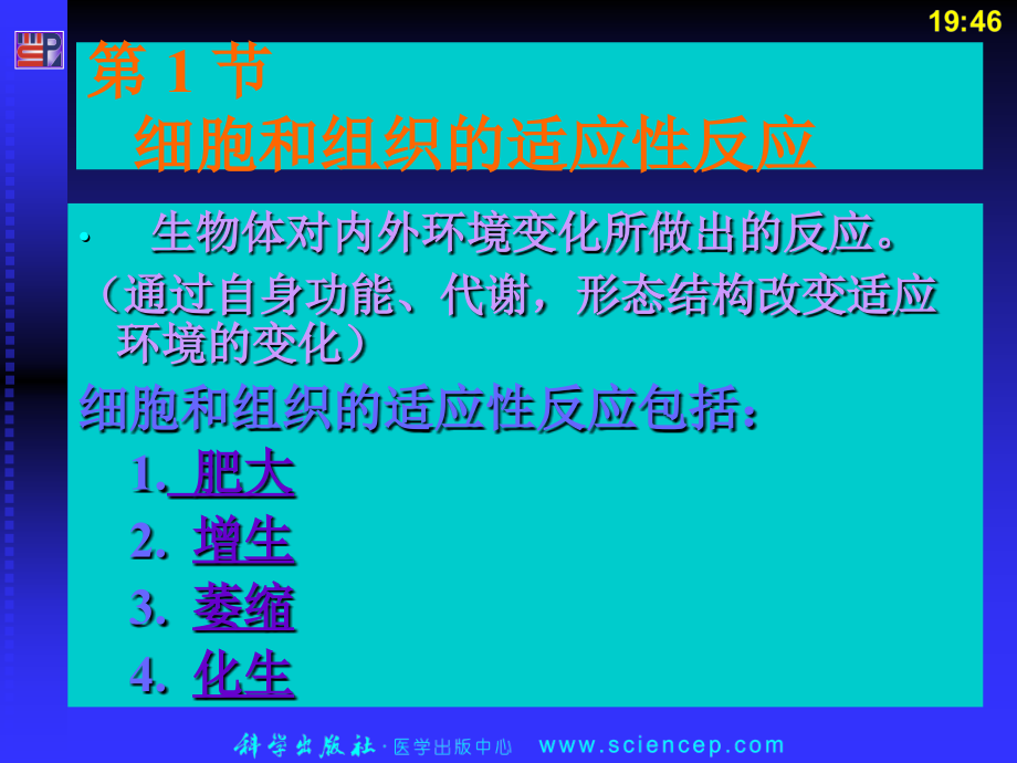 细胞和组织的适应损伤和修复(病理学基础教学课件)_第3页