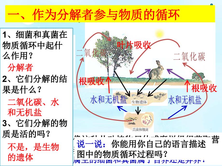 新人教版八年级上第五单元第四章第四节__细菌和真菌在自然界中的作用_第4页