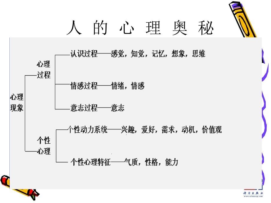 云南大学工商管理与旅游管理学院 旅游心理学_第5页