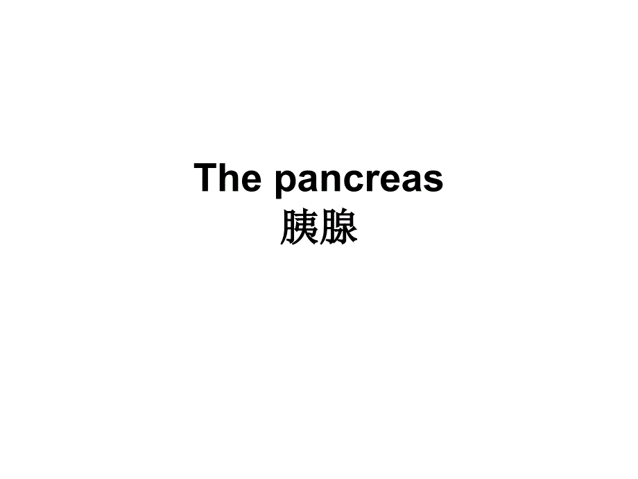 The pancreas胰腺_第1页