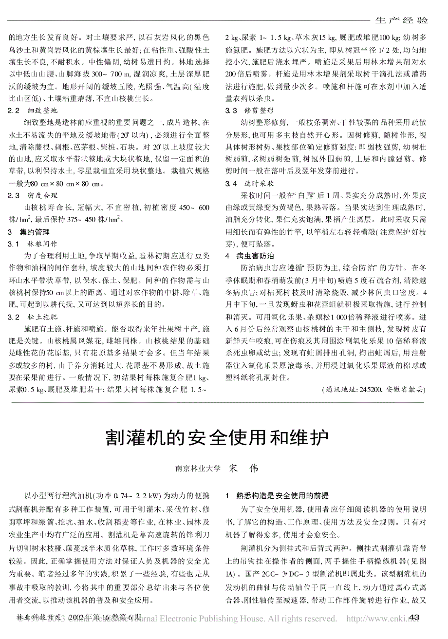 山核桃丰产栽培技术_第2页