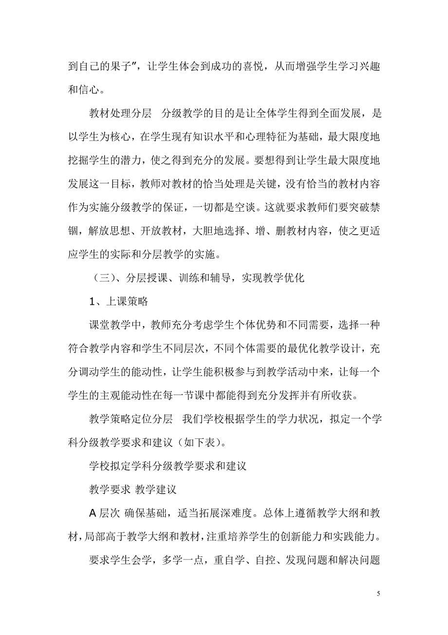 发达中学学生分层教学行动策略_第5页