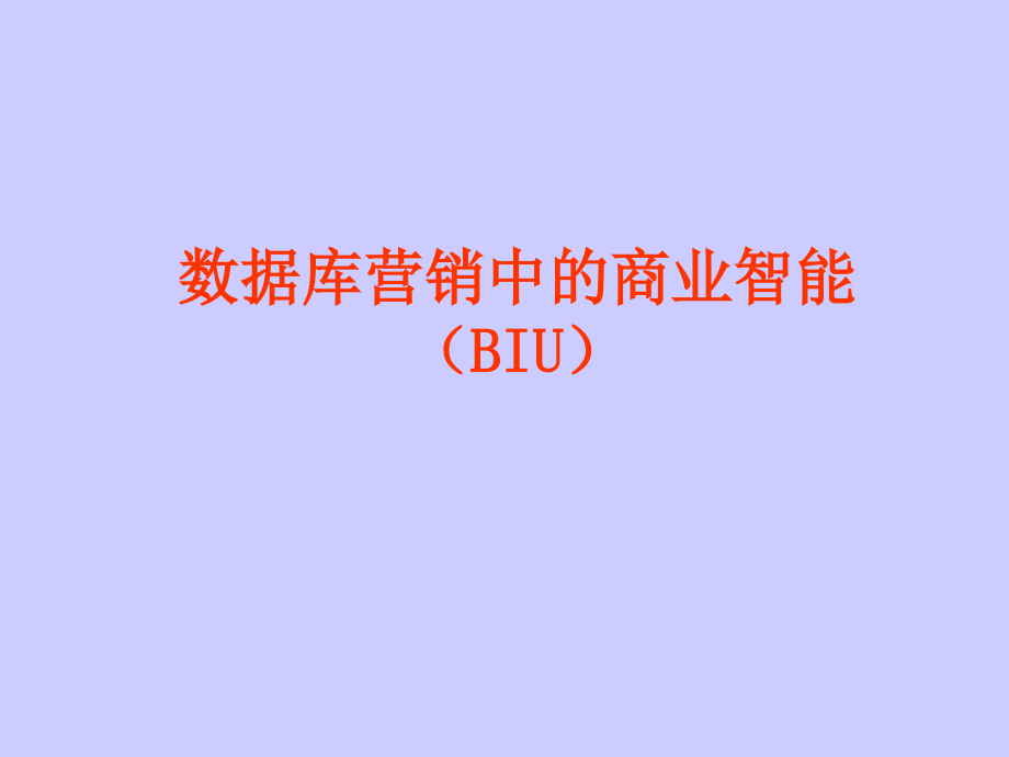 数据库营销中的BIU(杭州培训课件)_第1页