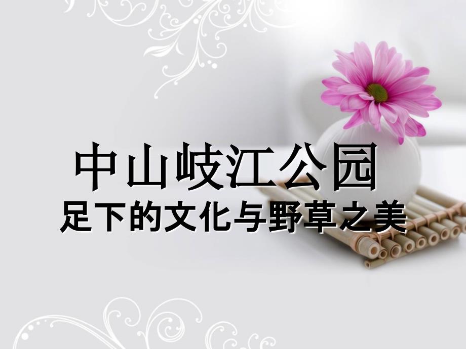 园林规划案例欣赏.ppt_第1页