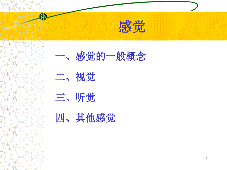 感觉的概念_第1页