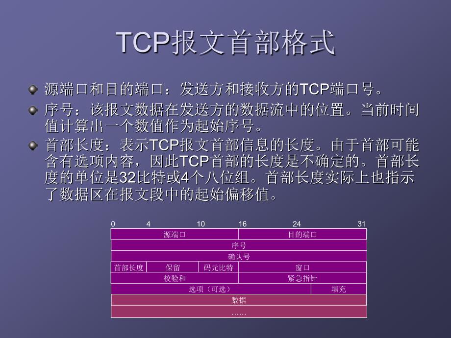 TCP报文格式_第4页