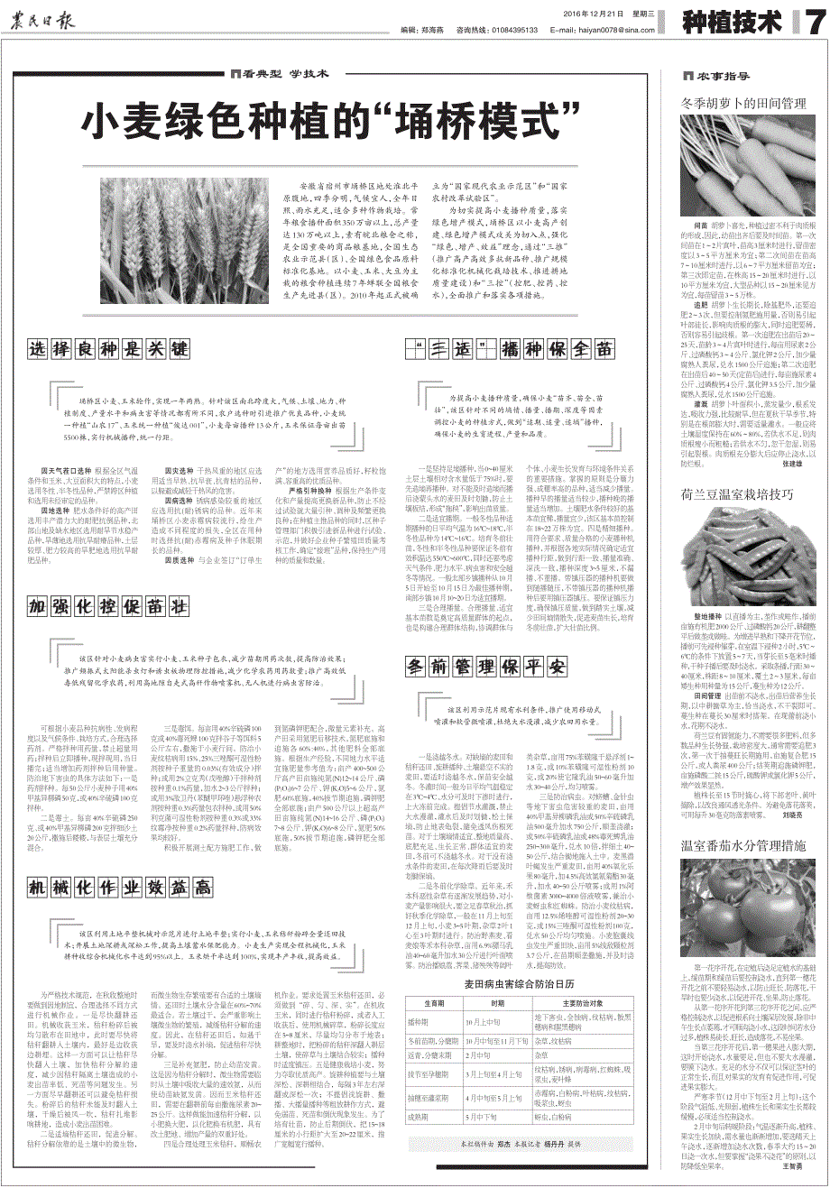 小麦绿色种植的 埇桥模式_第1页