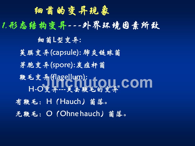 医学微生物学 第5章 细菌的遗传变异_第4页